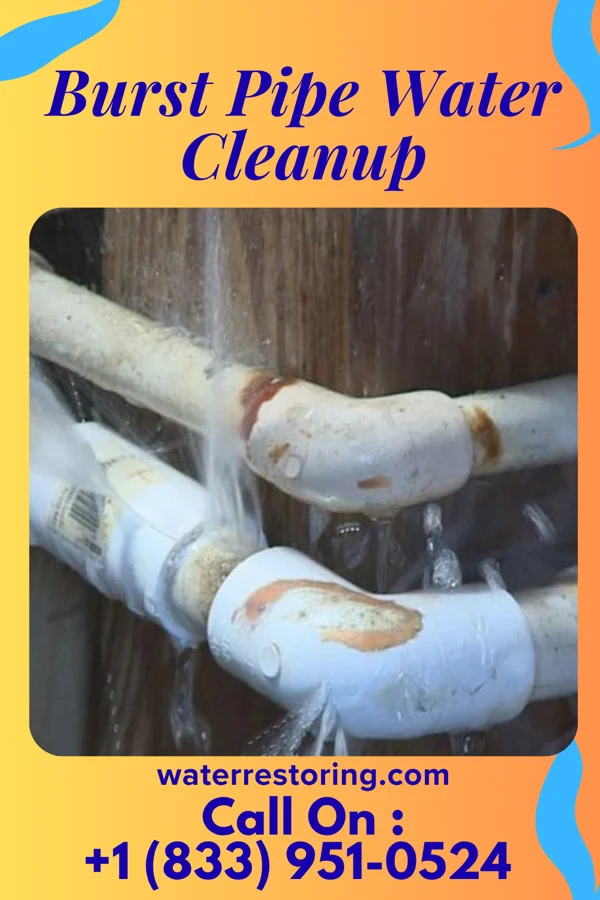 Burst Pipe Water Cleanup in Duboistown, PA