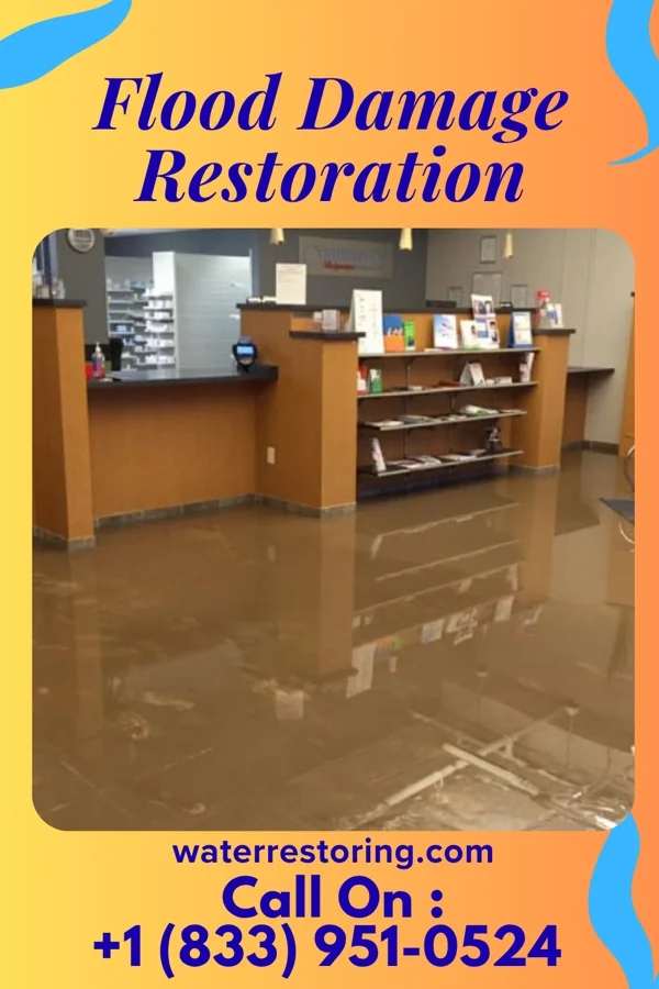 Flood Damage Restoration in Duboistown, PA