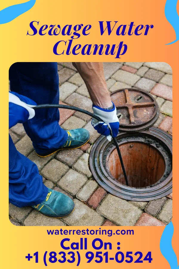 Sewage Water Cleanup in Duboistown, PA