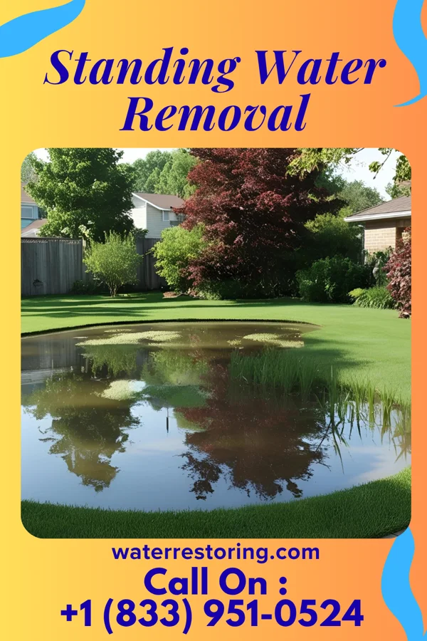 Standing Water Removal in Duboistown, PA
